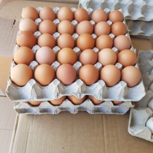 Eieren 30 stuks.