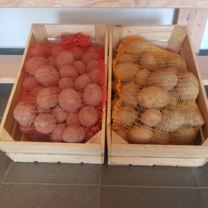 Aardappelen nieuwe oogst