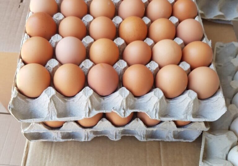 c7bae5c3-792b-4c8c-b2da-188554c2c6b2